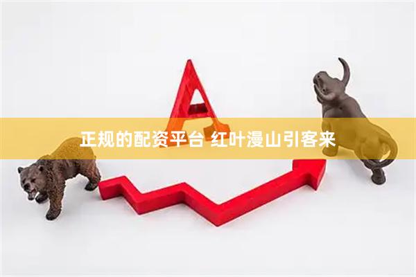 正规的配资平台 红叶漫山引客来